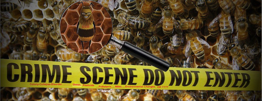 insecticides and pesticides kill bees